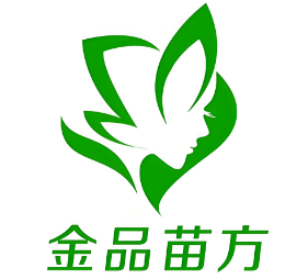 金品苗方专业祛痘