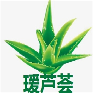 瑷芦荟