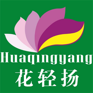 花轻扬瘦身