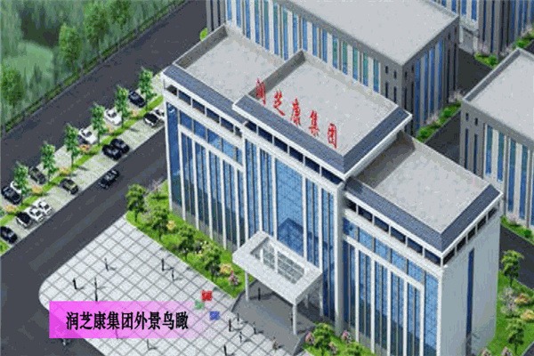润芝康
