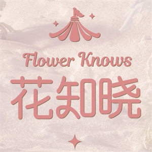 花知晓彩妆