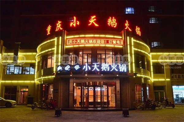 小天鹅小火锅