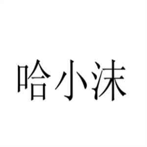 哈小沫酸奶水果捞
