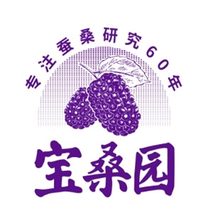 宝桑园桑果汁