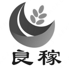 良稼八宝粥