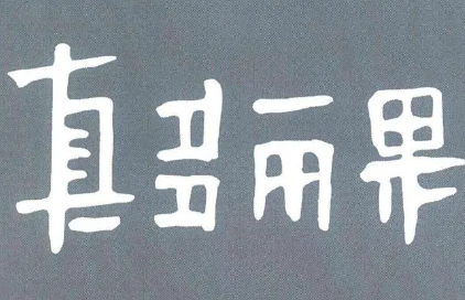 真多丽果