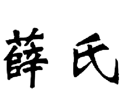 薛氏干果品牌logo