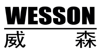 威森饺子云吞