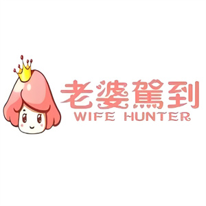 老婆驾到零食