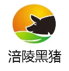 涪陵黑猪