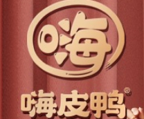 嗨皮鸭