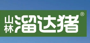 山林溜达猪