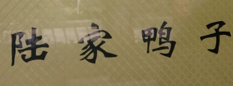陆家鸭子