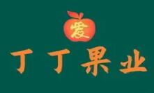 丁丁水果店