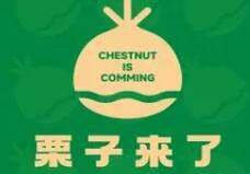 栗子来了
