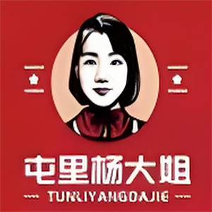 屯里杨大姐土豆粉