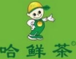 哈鲜茶