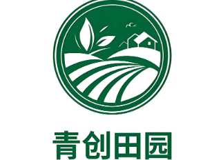 青创田园超市