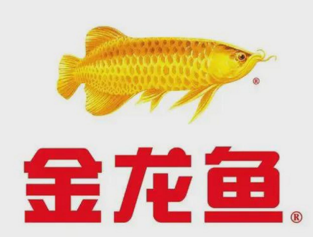 金龙鱼调和油