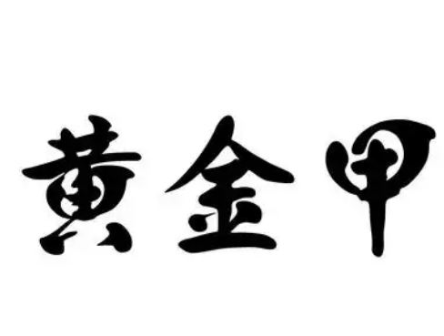 黄金甲汉堡
