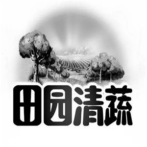 田园清蔬零食