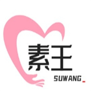 素王休闲食品