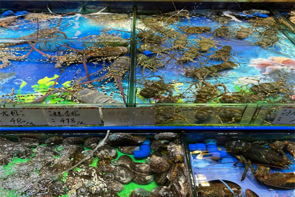 海五湖海鲜