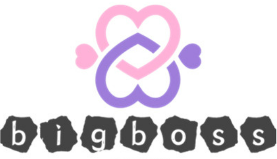 bigboss炸鸡