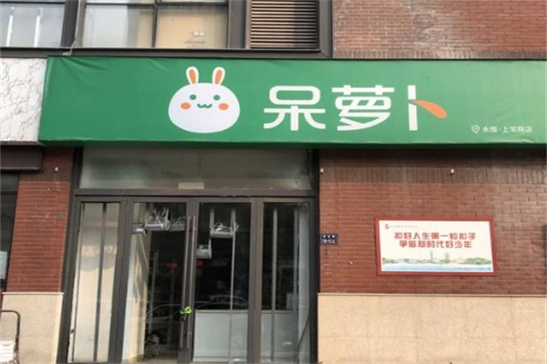 呆萝卜 呆萝卜