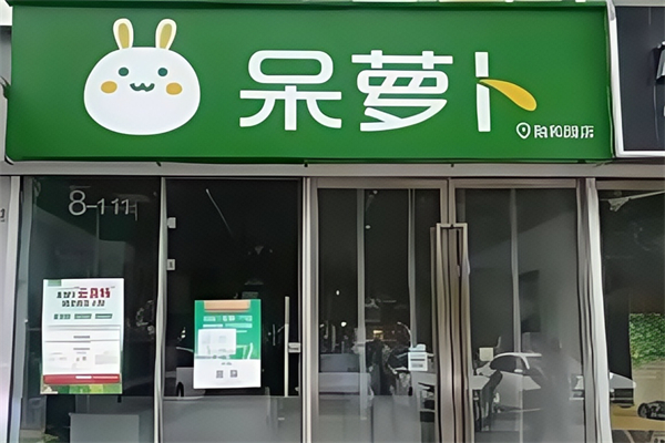呆萝卜 呆萝卜