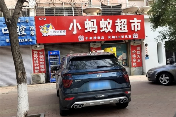 葫芦岛小蚂蚁超市