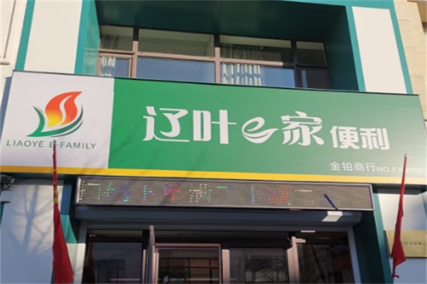 辽叶e家终端店