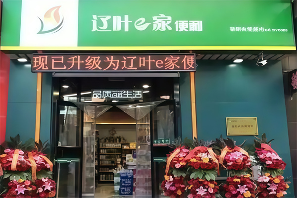辽叶e家终端店