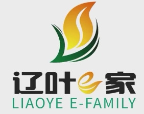 辽叶e家终端店