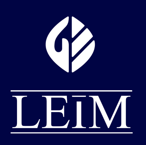leim皮肤管理
