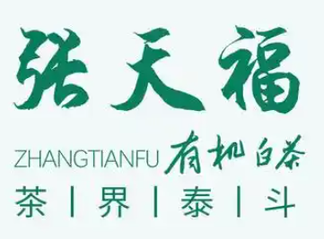 张天福有机白茶