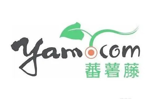 番薯藤生鲜蔬菜