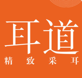 耳道精致采耳