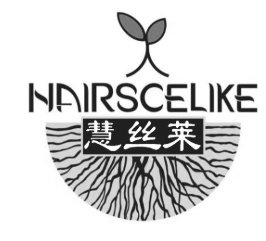 慧丝莱养发