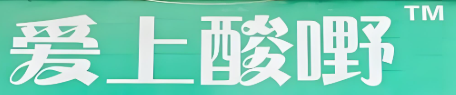 爱上酸嘢