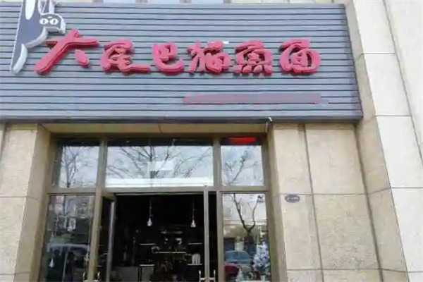 大尾巴猫鱼面