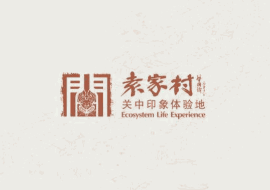 袁家村印象体验