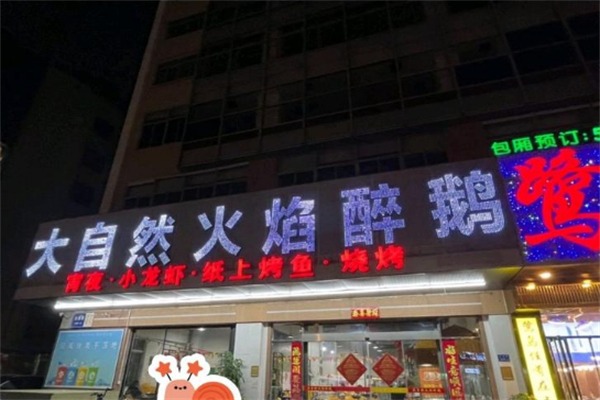 大自然火焰醉鹅