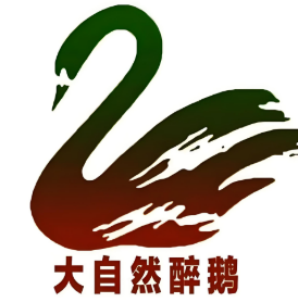 大自然火焰醉鹅