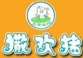 撒欢猪包子