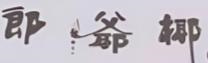 郎爷椰椰子冻