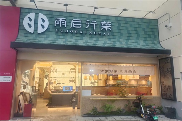 雨后行菜