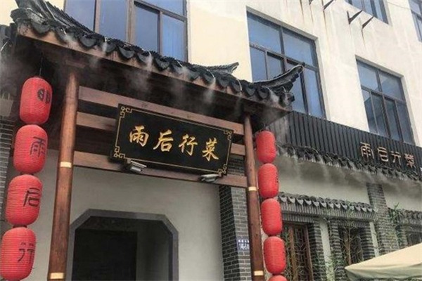 雨后行菜
