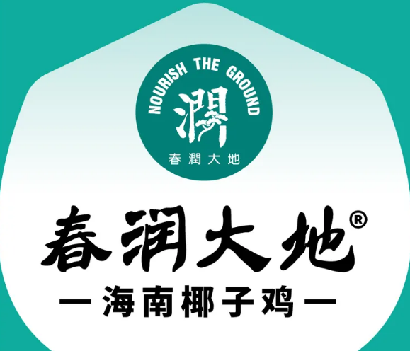 春润大地海南椰子鸡