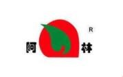 阿林瓜子